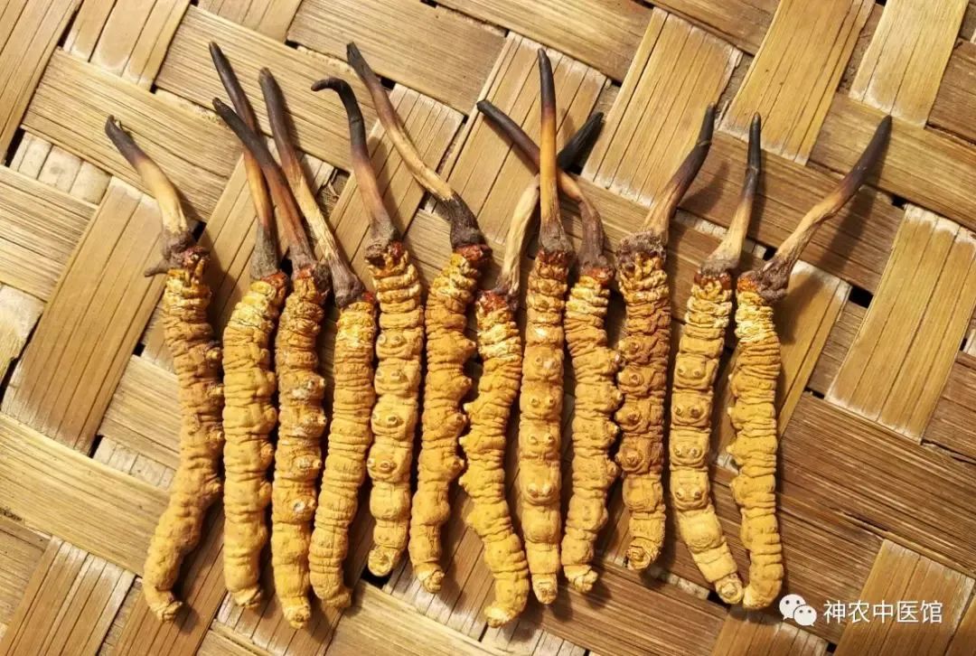 神農中醫(yī)館