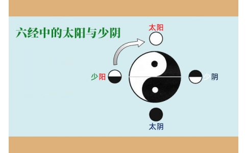 中醫(yī)基礎(chǔ)—六經(jīng)中的太陽與少陰含義！