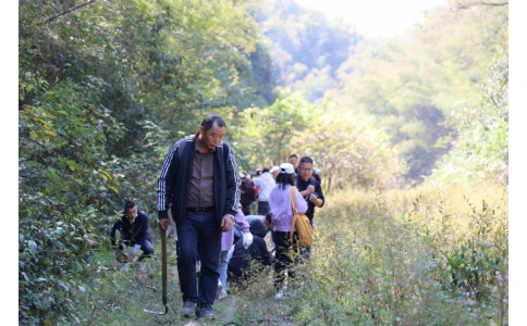 踏秋尋寶，聞香識藥！首屆神農(nóng)杯野外識藥大賽在株洲鳳凰山景區(qū)成功舉辦！