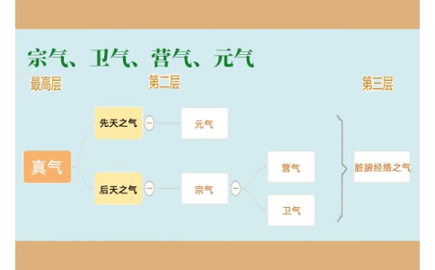 中醫(yī)里的“宗氣”、“衛(wèi)氣”、“營氣”、“元氣”